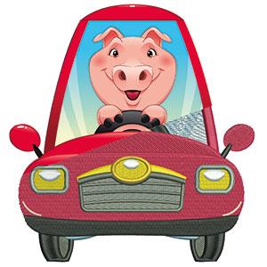 Schwein im Auto