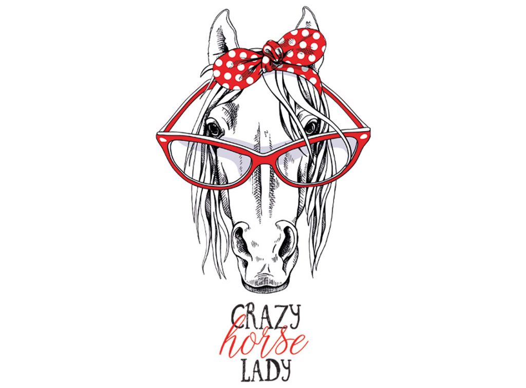 Das Stickprogramm Crazy Horse Lady