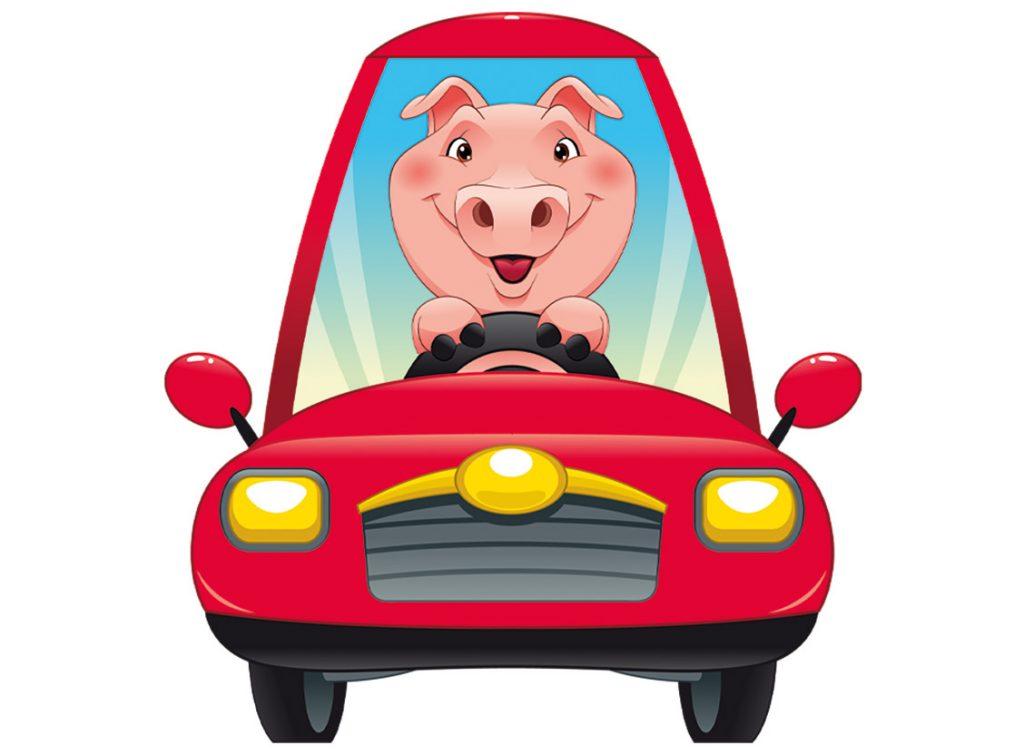 Das Stickprogramm Schwein im Auto